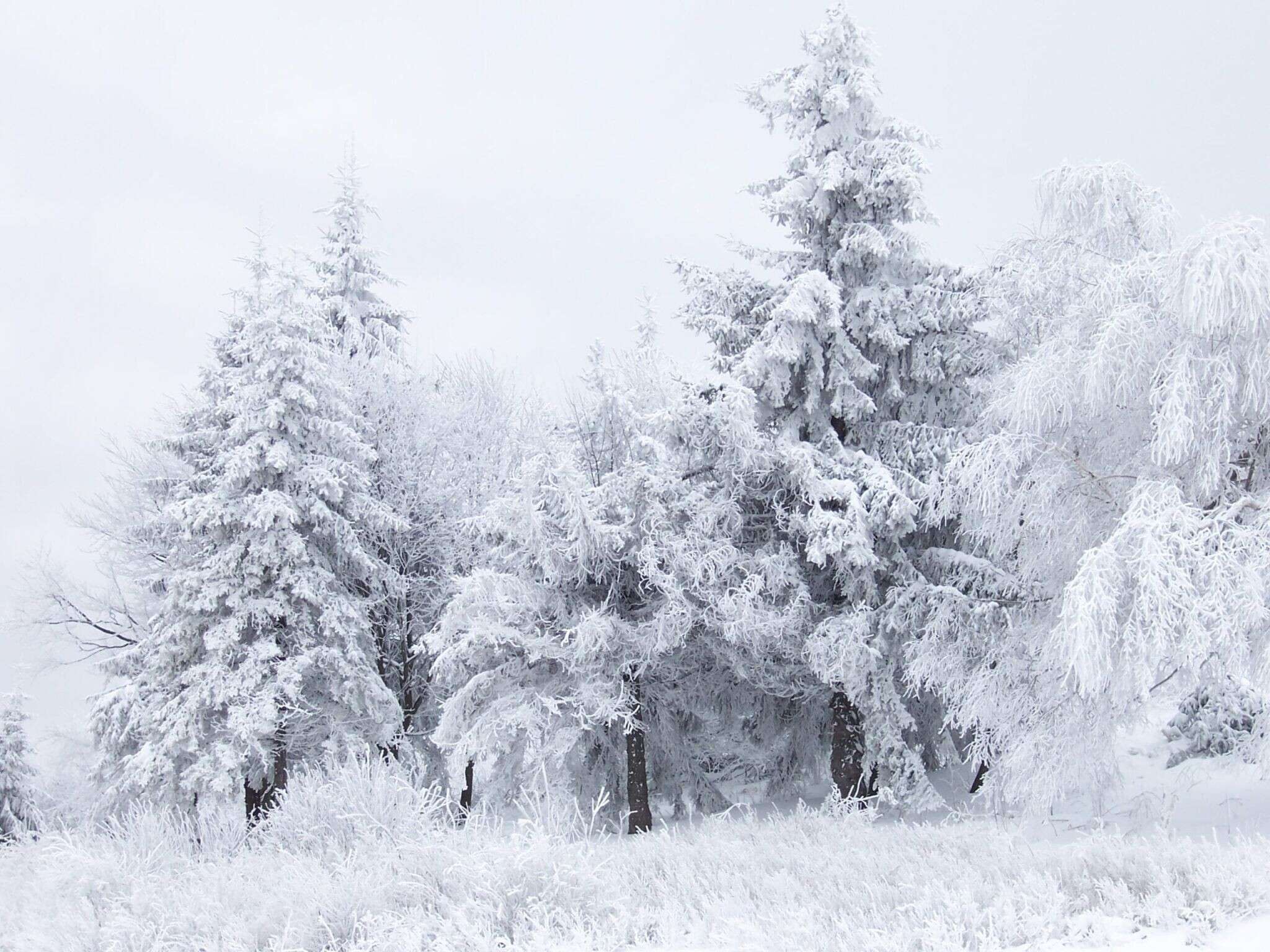 snow_scene_at_shipka_pass_1