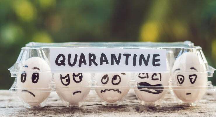 Eggs in a box, quarantine. Eggs are considered when passing quarantine at the border