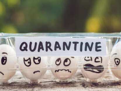Eggs in a box, quarantine. Eggs are considered when passing quarantine at the border