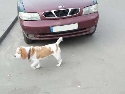 129483728_3571984806224920_4571852712462756571_n