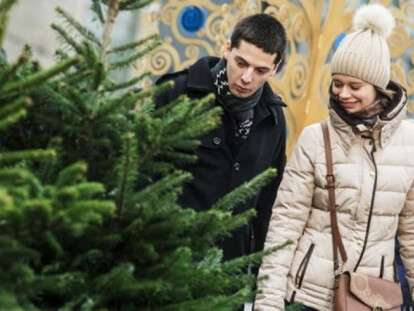 5e75cc017e7dcfe5e41bfa8d1391bea5