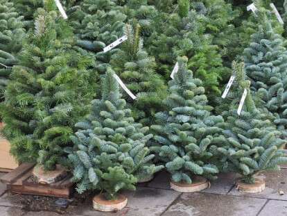 5c0bea7aa9285385263702