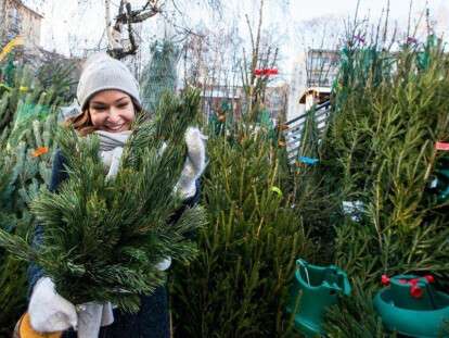 341d95cba568b8b229d764bc52acfe03