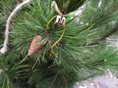 photo_2020-12-21_10-09-22