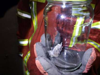 221a4a9c6578cd6b96d9a9fb82628546-wide-big