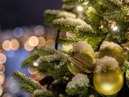 870x489_0x57_detail_crop_5d231316f6fe37936fba7f908a2459f7ce0948968a16f22d8e2b23ba98cc8b6b