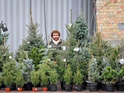 picture2_stali-izvestny-ce_361868_p0