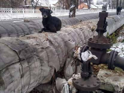 теп