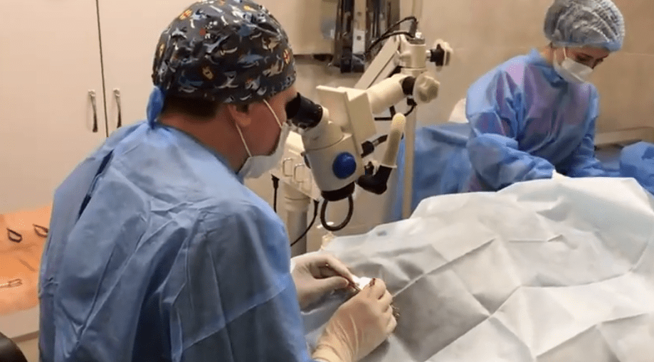 В Днепре провели уникальную операцию и вернули собаке зрение