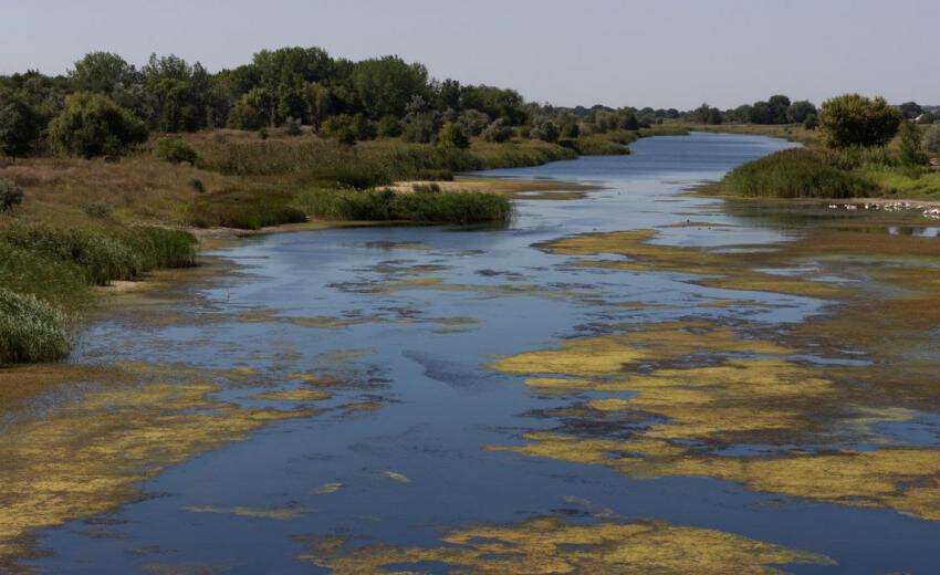 Эксперт рассказал, к чему приведет пересыхание реки Орель (Видео)