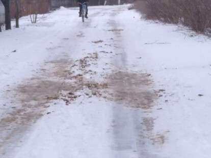 Потроха и отходы: под Днепром оригинально "посыпают" улицы (Фото)