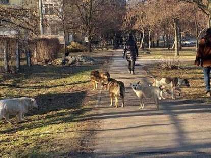 155315103-797827204160107-5089534952005368983-n-optimized