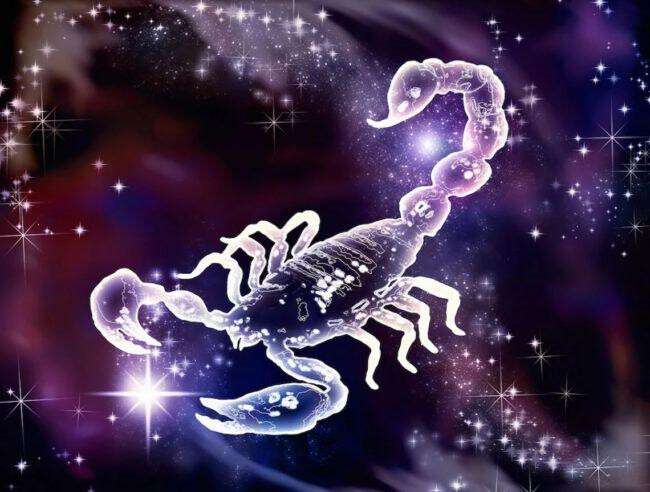 скорпион гороскоп.jpg