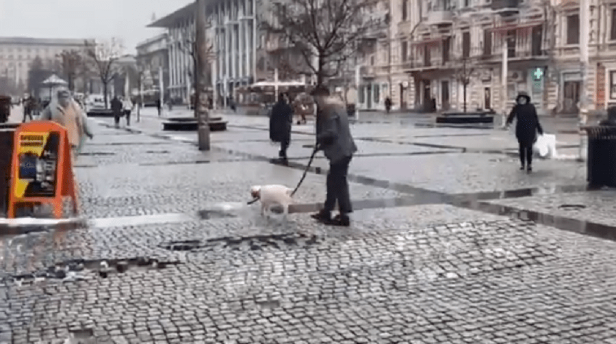 В Днепре по Европейской площади парень гулял с козленком на поводке.