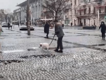 В Днепре по Европейской площади парень гулял с козленком на поводке.