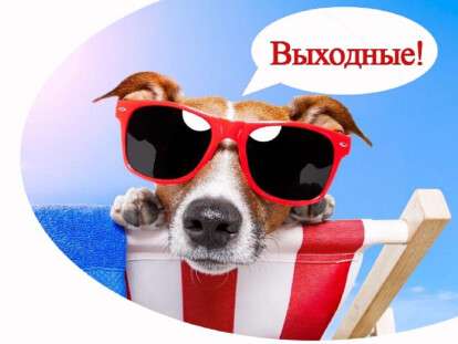 выходные