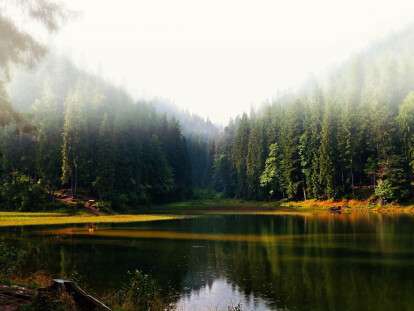 парки украины