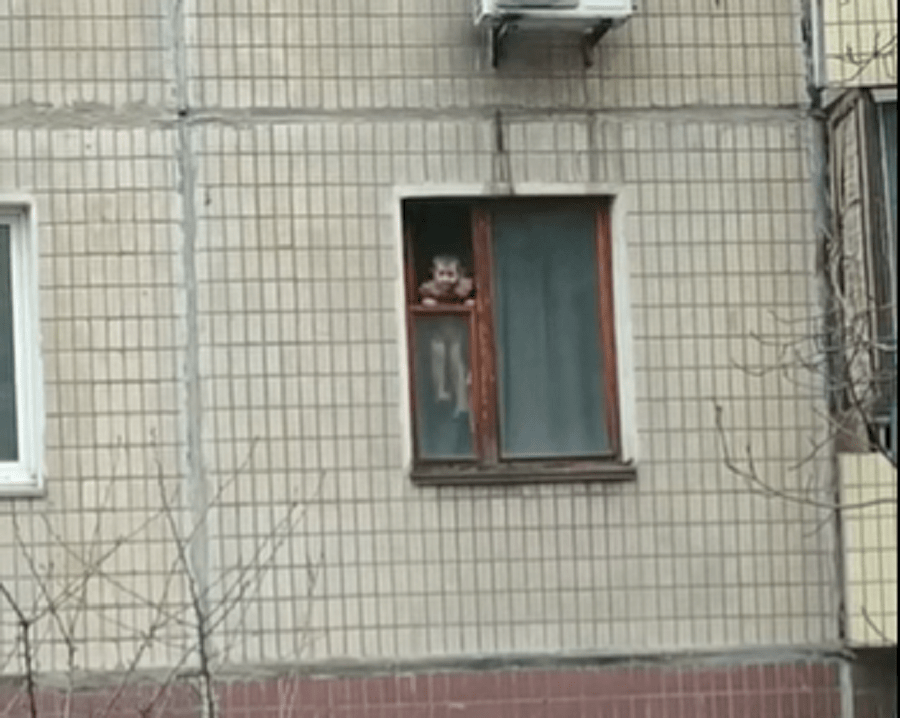 ребенок на окне