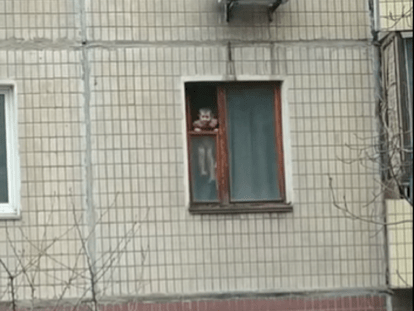 ребенок на окне