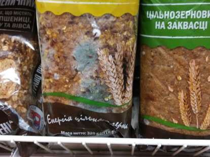 Хлеб с плесенью