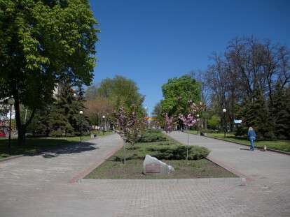 Сакура (1)