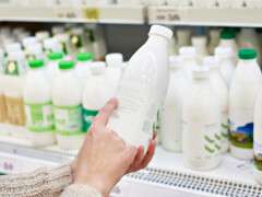 как сделать сметану из молока