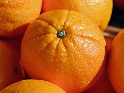 Ikra-oplodotvorennaya-1