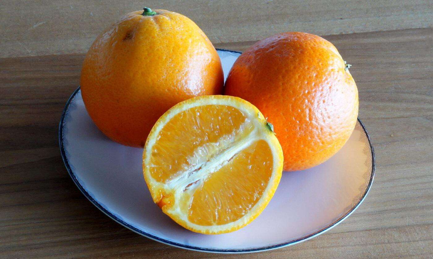 orangenroh-citrus-sinensis-orangesraw