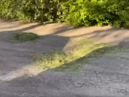 ремонт дороги травой