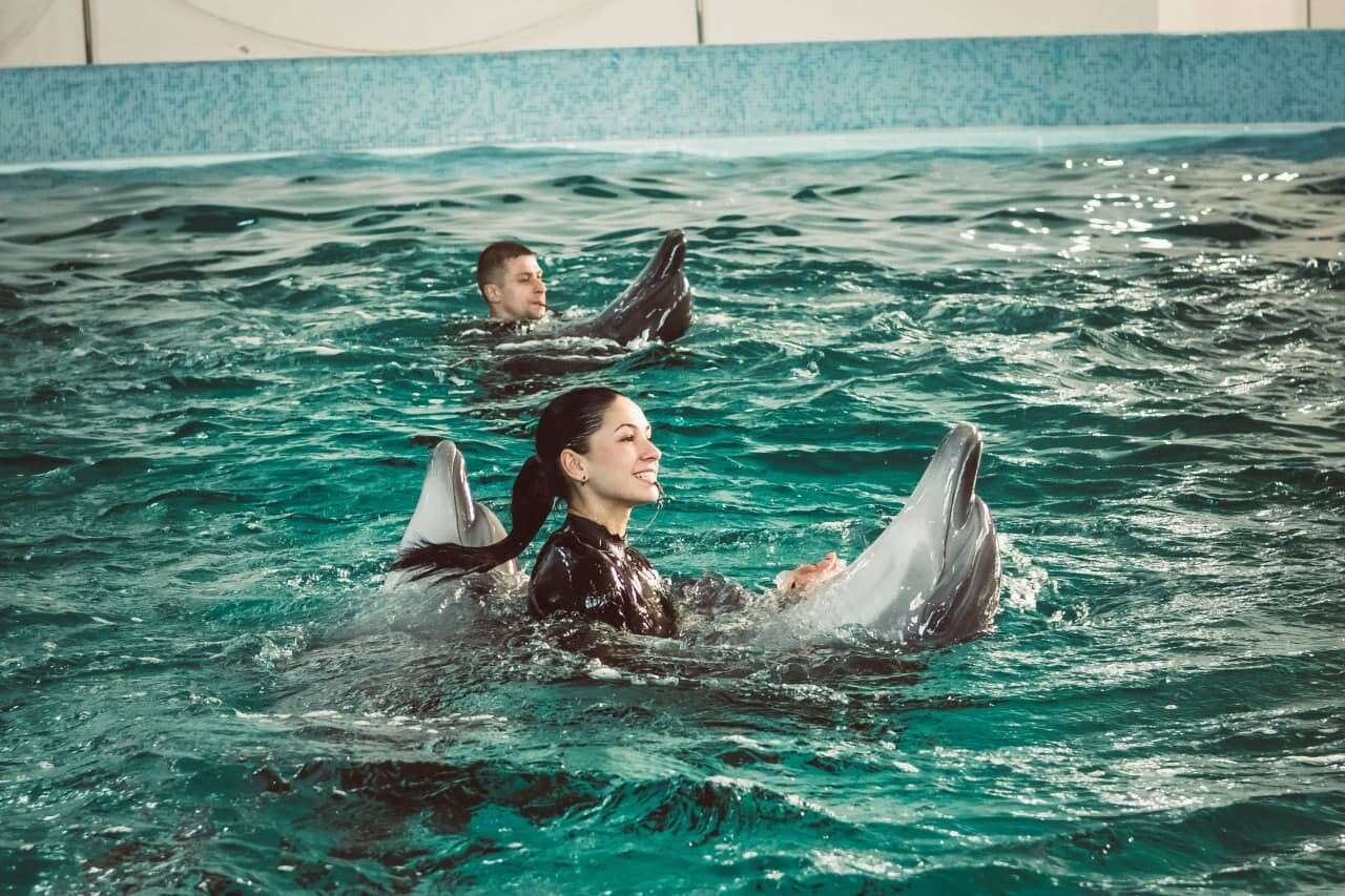 Кирилловка: дельфинарий «Оскар»