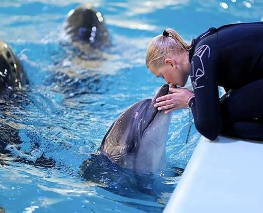 Кирилловка: дельфинарий «Оскар»