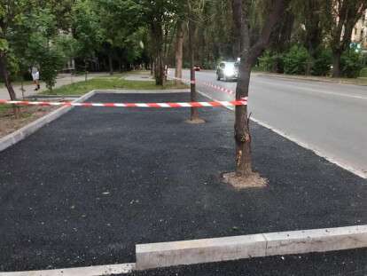 Деревья в асфальте