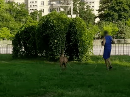 мужчина украл пакеты