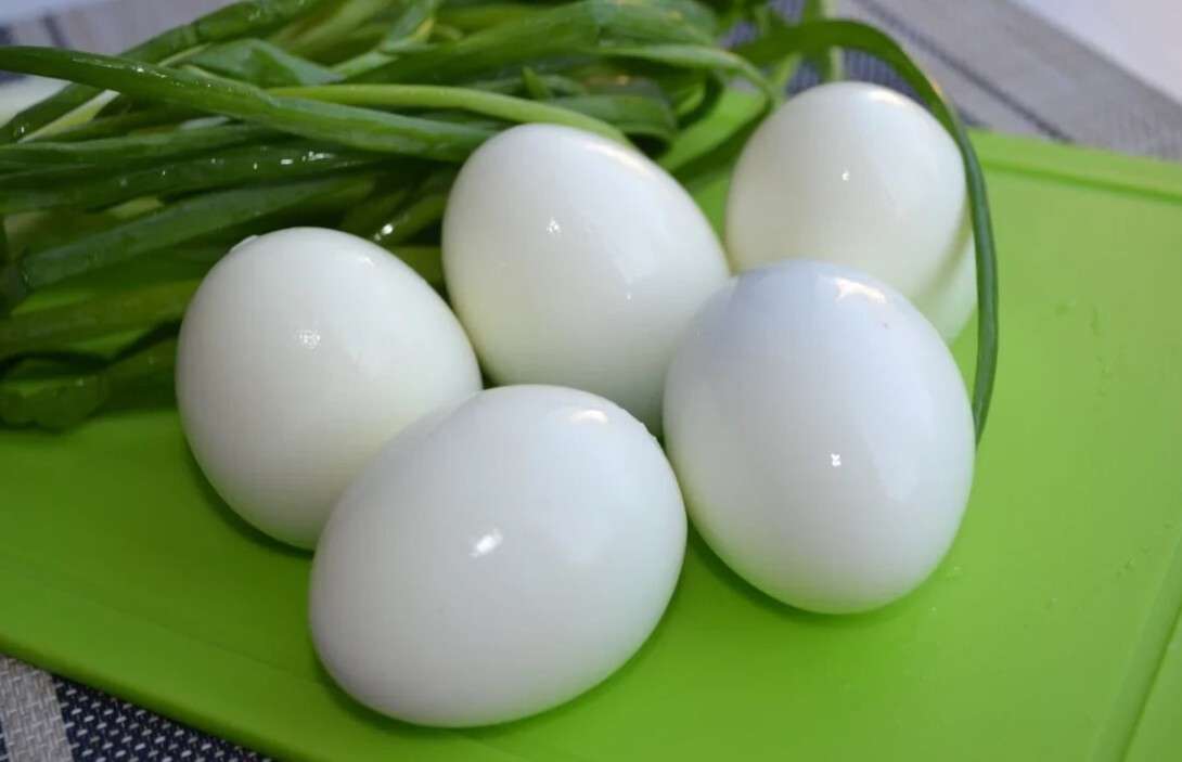яйца1
