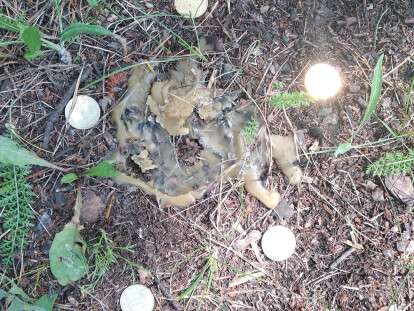 магический ритуал