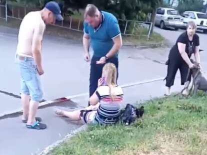 собака укусила