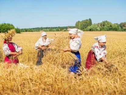 Жатва