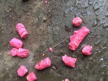 крысиный яд