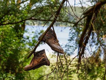 Обувь на ветке