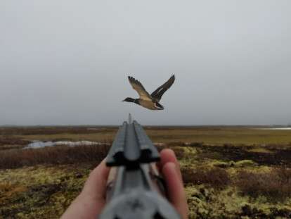 сезон охоты