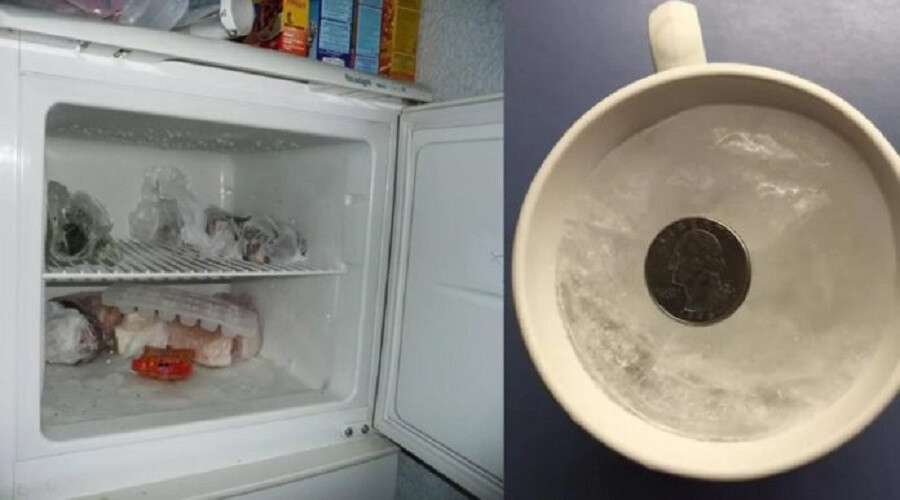 монета в холодильнике