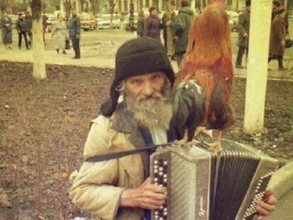 дуэт дед и петух