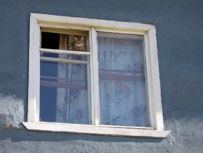 окно
