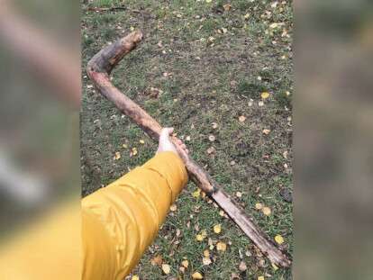 палка-убийца