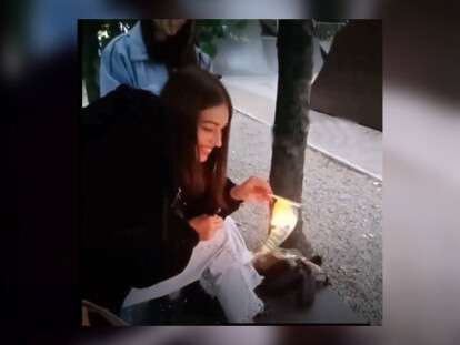 сожгла флаг Украины