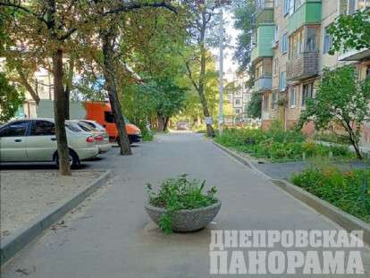 Фото клумбы на Калнышевского, 44