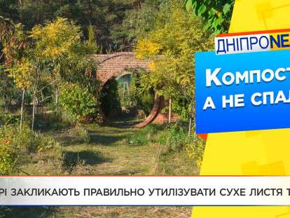 Как утилизировать опавшие листья