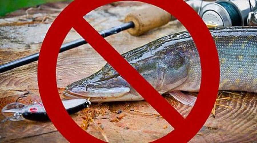Запрет на лювлю рыбы в Днепре с 1 ноября 2021