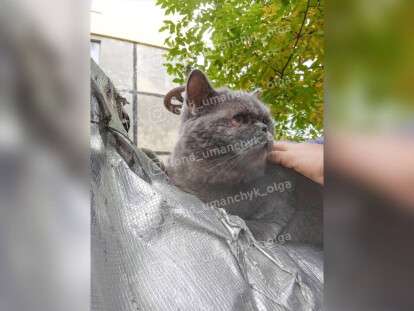 Помощь животным Днепр2