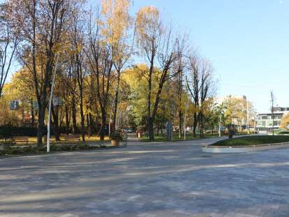 Как парки Днепра готовят к холодам  (17)